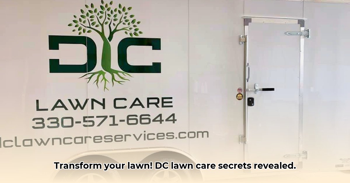 dc-lawn-care